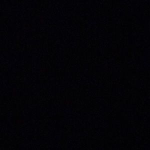 Meet your Posher, Raven